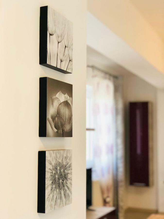 Eme Apartments Braszów Zewnętrze zdjęcie